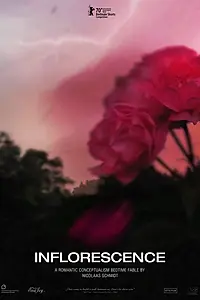 Постер к фильму «Inflorescence (2020)»