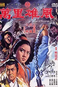 Постер к фильму «Всадник мести (1971)»