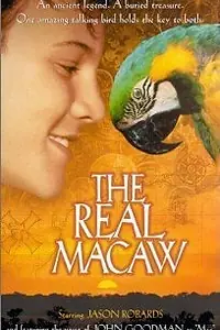 Главный постер фильма «Мак-миллионер (1998)»