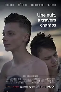 Главный постер фильма «Однажды ночью через поля (2020)»