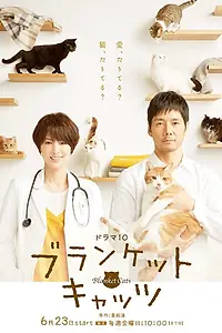 Постер к сериалу «Коты в одеялках (2017)»