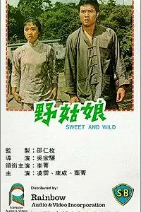 Постер к фильму «Дикарка (1966)»