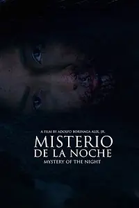 Главный постер фильма «Misterio de la Noche (2019)»