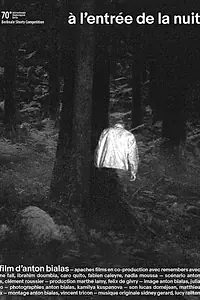 Главный постер фильма «À l'entrée de la nuit (2020)»