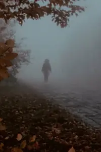 Постер к фильму «Mózg (1983)»