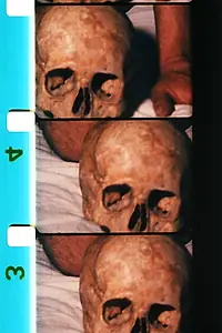 Постер к фильму «Teo (1978)»