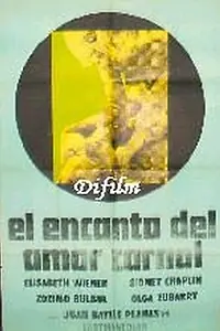 Постер к фильму «El encanto del amor prohibido (1974)»