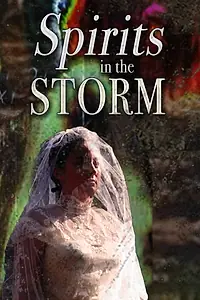 Главный постер фильма «Spirits in the Storm (2019)»