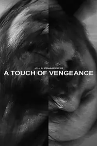 Постер к фильму «A Touch of Vengeance (2022)»