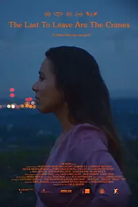 Главный постер фильма «The Last to Leave Are the Cranes (2020)»