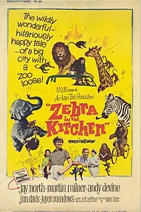 Постер к фильму «Зебра на кухне (1965)»