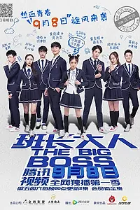 Постер к сериалу «Большой босс (2017)»