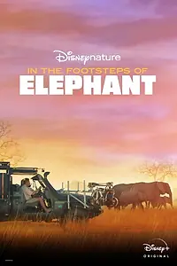 Постер к фильму «In the Footsteps of Elephant (2020)»