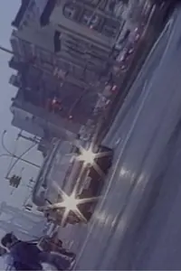 Главный постер фильма «The Bowery (1994)»