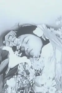 Главный постер фильма «Shizuka na ichinichi (2003)»