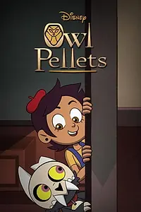 Главный постер мультсериала «Owl Pellets (2020)»