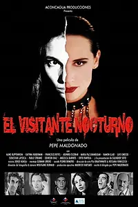 Постер к фильму «Ища сеньориту Айде (2003)»