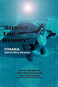 Постер к фильму «Sunny the Bunny (2017)»