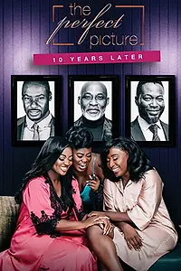 Постер к фильму «The Perfect Picture - Ten Years Later (2019)»