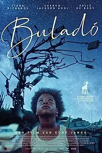Постер к фильму «Летучая рыба (2020)»