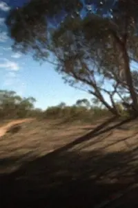 Главный постер фильма «Coorow-Latham Road (2011)»