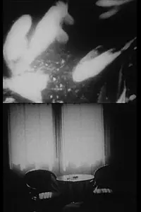 Постер к фильму «Party (1995)»