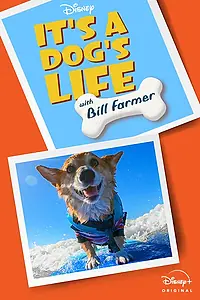 Постер к сериалу «It's A Dog's Life (2020)»