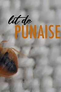 Постер к фильму «Lit de punaise (2020)»