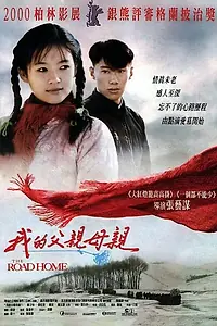 Постер к фильму «Дорога домой (1999)»