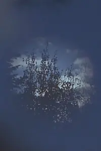 Постер к фильму «Within (2012)»