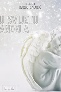 Главный постер фильма «U svijetu andela (2019)»