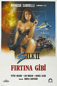 Постер к фильму «Шелк 2 (1989)»