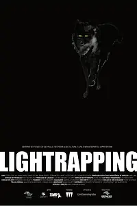 Постер к фильму «Lightrapping (2016)»