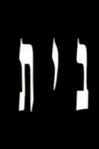 Постер к фильму «Bayit (1994)»