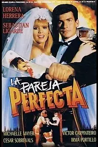 Постер к фильму «La pareja perfecta (1991)»