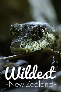 Постер к сериалу «Wildest New Zealand (2017)»