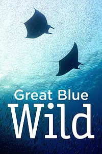 Постер к сериалу «Great Blue Wild (2015)»