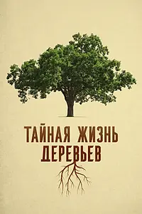 Постер к фильму «Тайная жизнь деревьев (2020)»