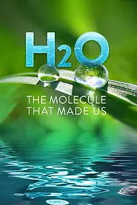 Постер к сериалу «H20: The Molecule That Made Us (2020)»