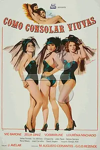 Главный постер фильма «Так как это утешит вдов (1976)»