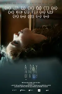 Постер к фильму «A Day in the Life of a Boy (2020)»