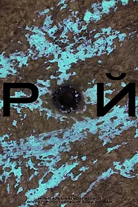 Постер к фильму «Рой (2018)»
