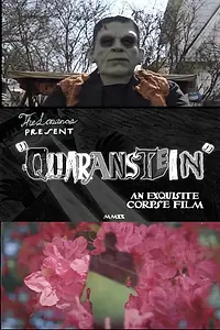 Постер к фильму «Quaranstein (2020)»