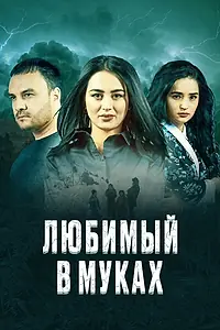 Постер к фильму «Любимый в муках (2017)»