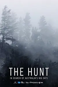 Главный постер фильма «The Hunt: In Search of Australia's Big Cats (2020)»