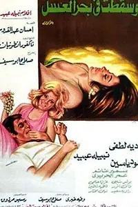 Главный постер фильма «Утонувшая в море меда (1977)»