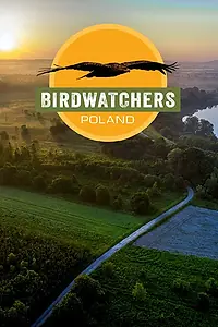 Главный постер фильма «Birdwatchers: Poland (2020)»