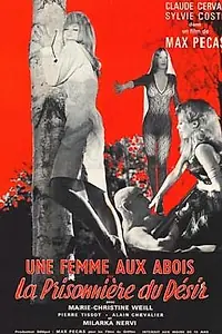 Главный постер фильма «Женщина в безвыходной ситуации (1967)»