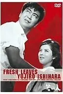 Постер к фильму «Wakai hito (1962)»