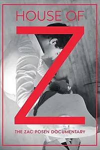 Постер к фильму «Дом Z (2017)»